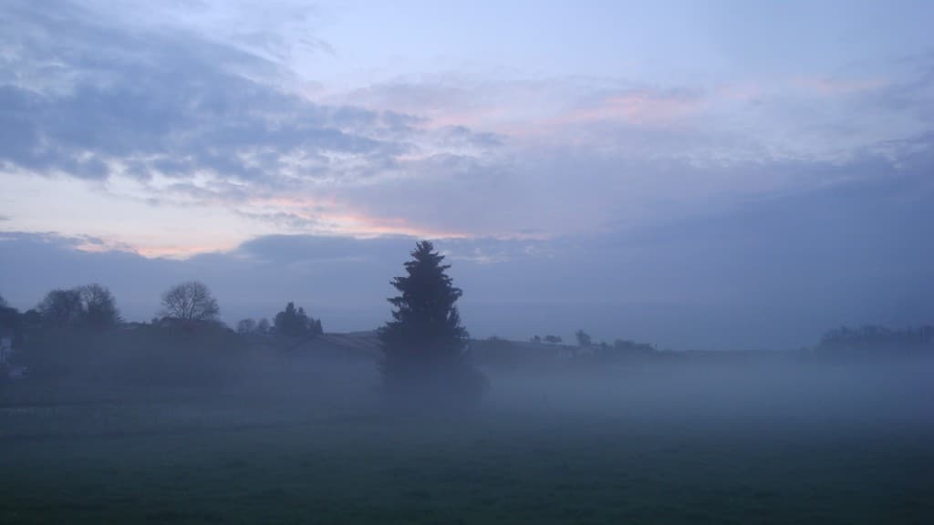  Brume au lever du soleil