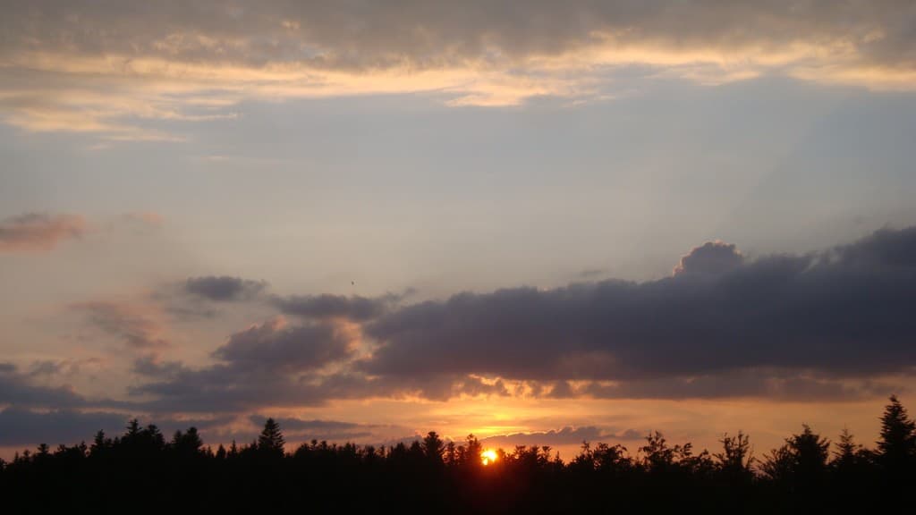 Coucher dans les sapins