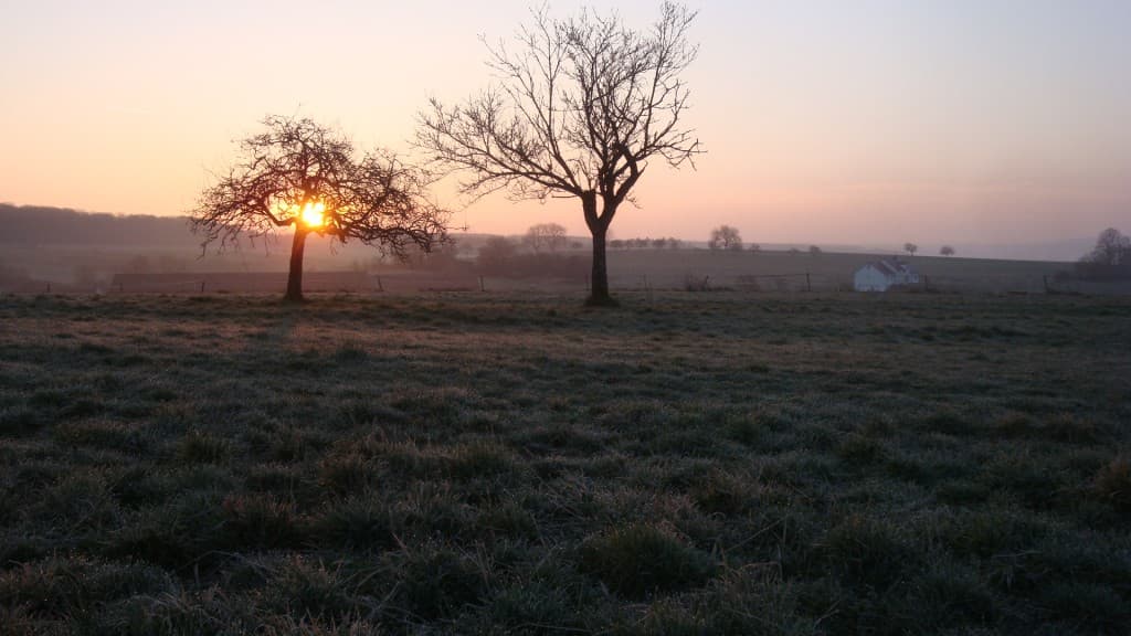 Gelée blanche et lever de soleil