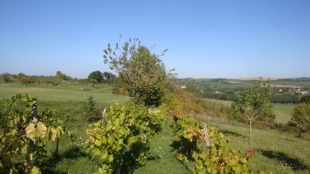 Grand ciel bleu mais seulement 17°.
