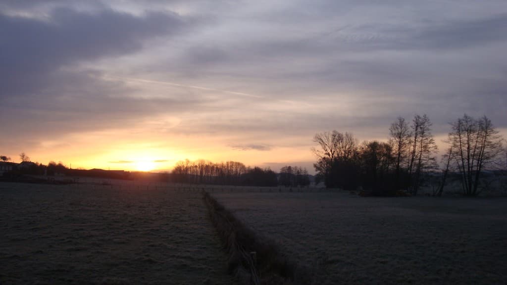 Lever de soleil voilé et gelée blanche..
