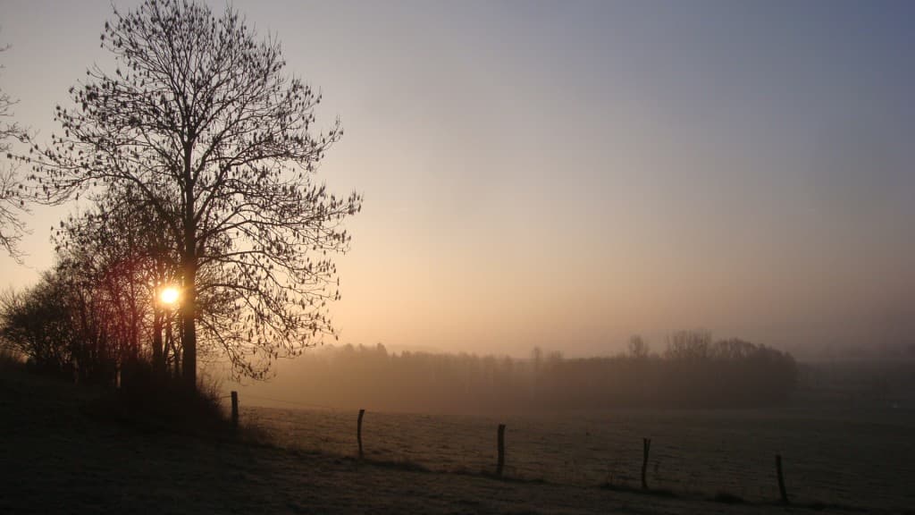 Soleil ,brume et fraicheur (-1.5°)