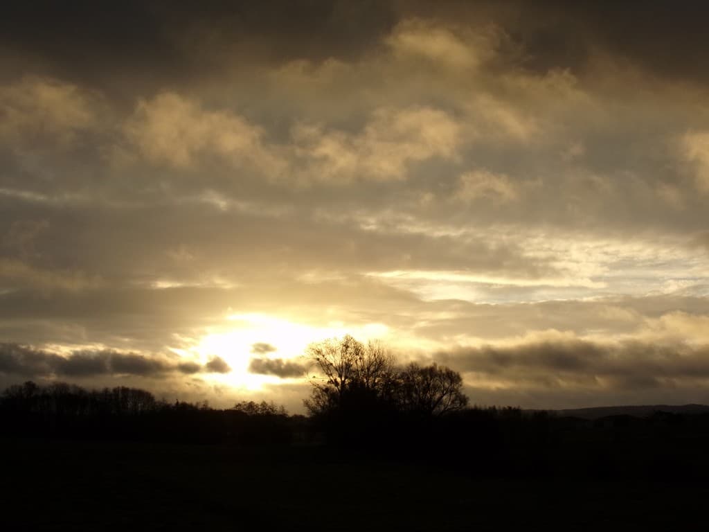 Avant le retour de la pluie