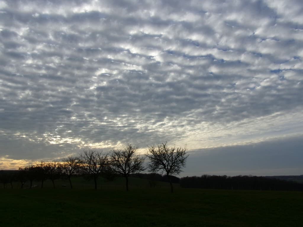 Ciel d'altocumulus