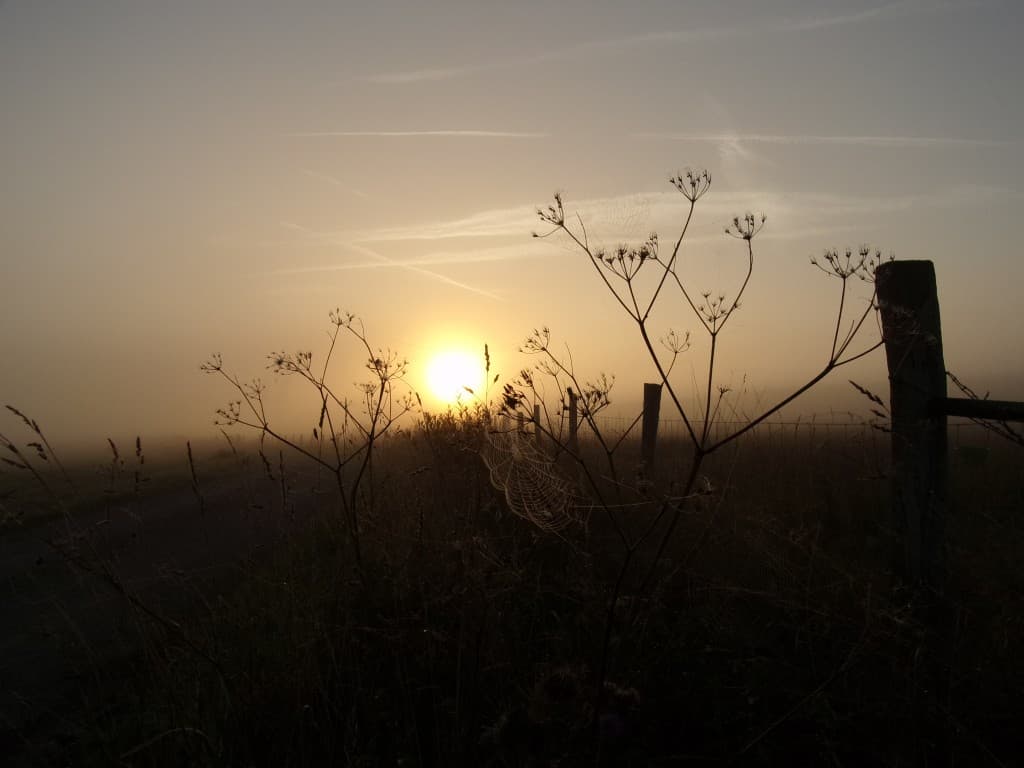 Dans le brouillard au petit matin