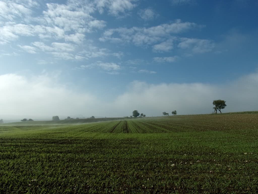 Dissipation du brouillard
