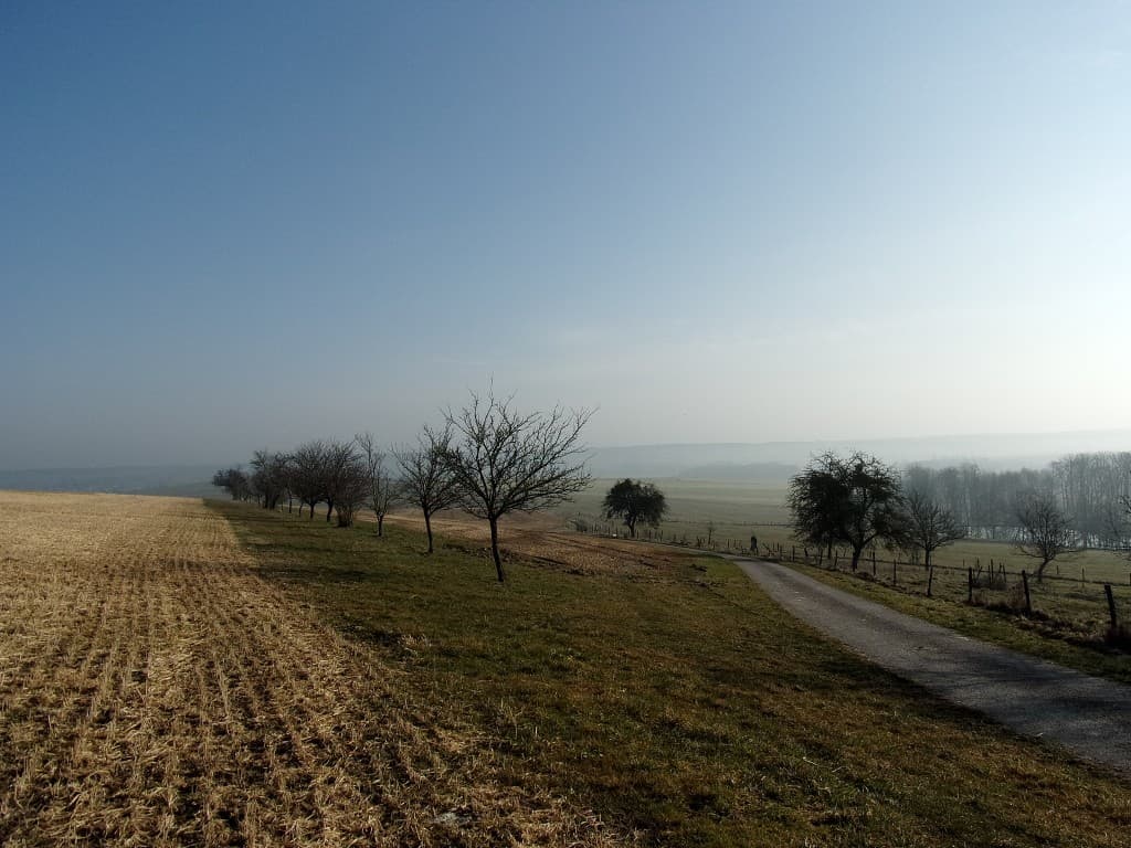 Ensoleillé mais brumeux