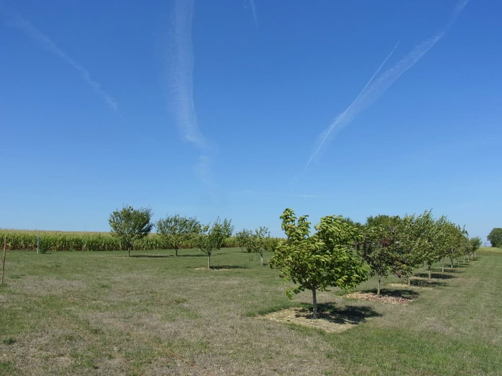 Fort vent de Sud et chaleur