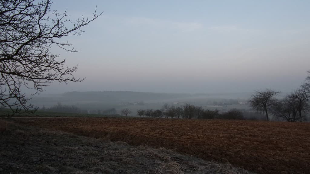 gelée matinale et brume