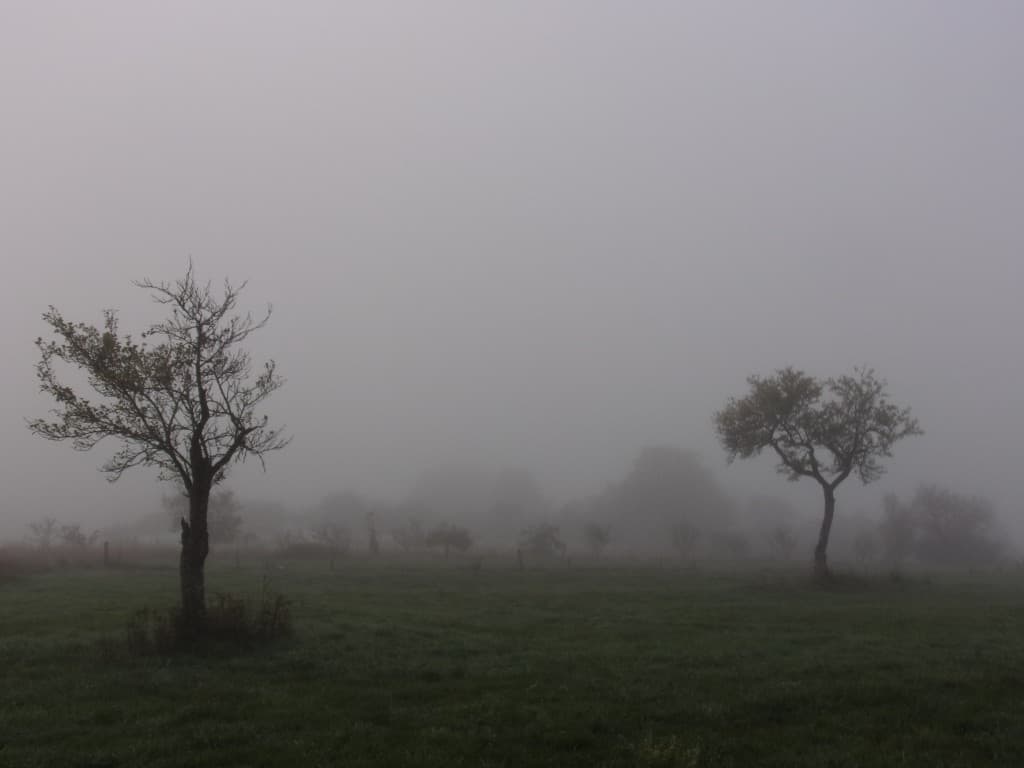 Le brouillard bien dense de ce matin