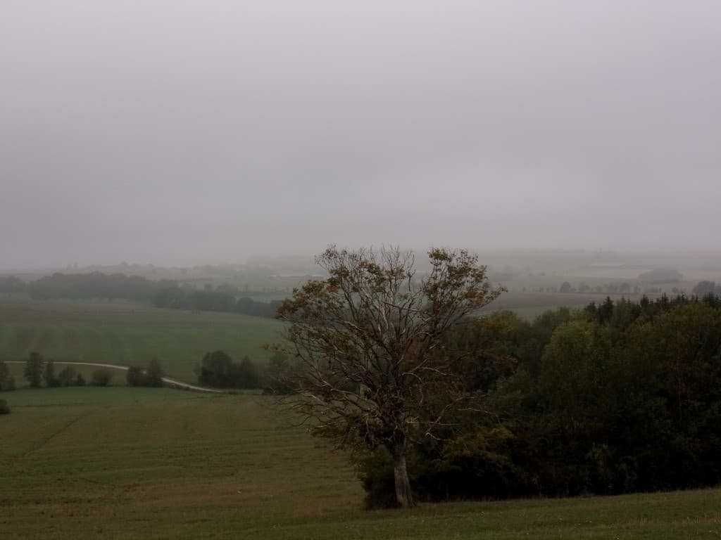 Le brouillard se lève