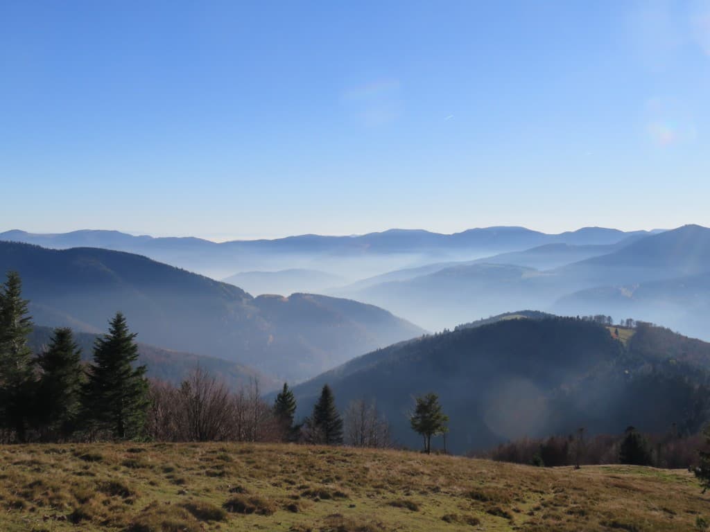 Légère brume dans les vallées Alsaciennes 