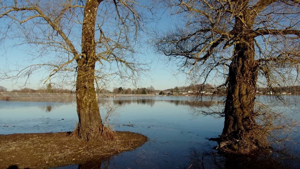 Les pieds dans l'eau et la glace