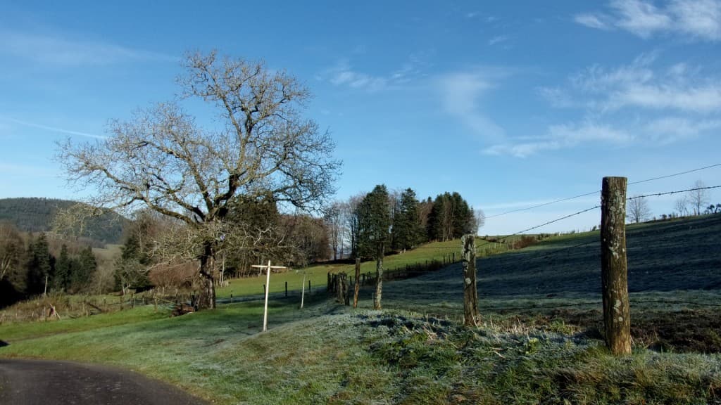 Soleil et gelée persistante