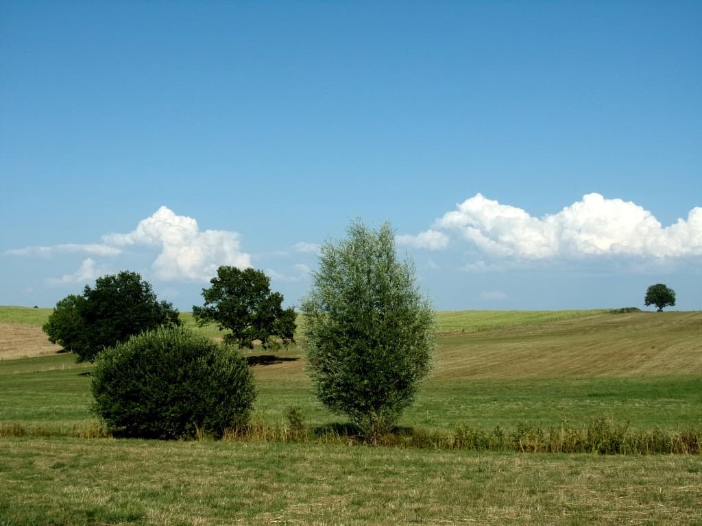 Très chaud et cumuloninbus au loin