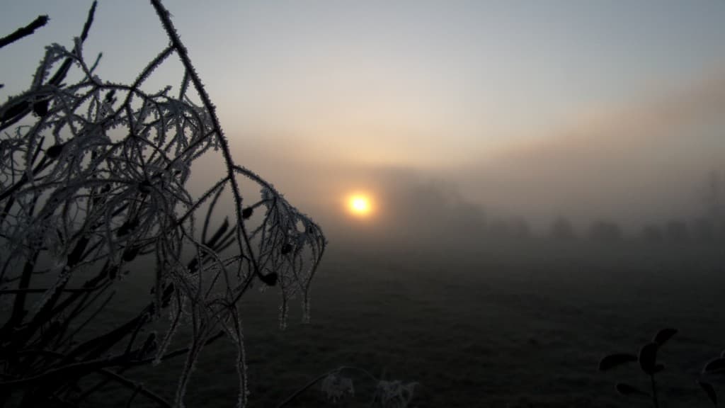 Brouillard givrant et lever de soleil