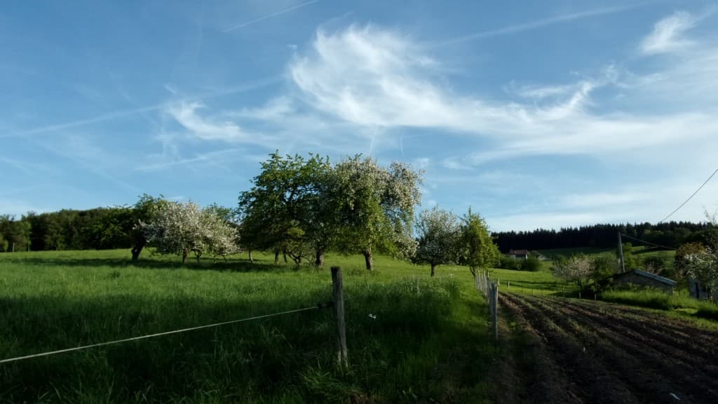 Ciel de fin de journée