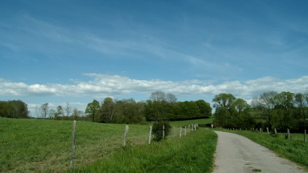 Cumulus de beau temps