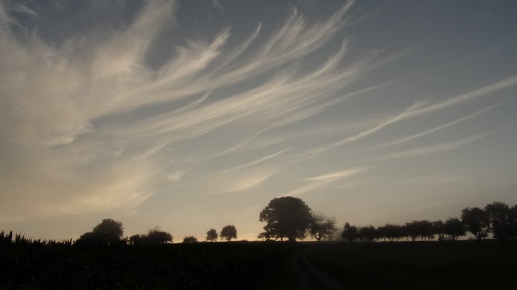 Joli ciel au petit matin