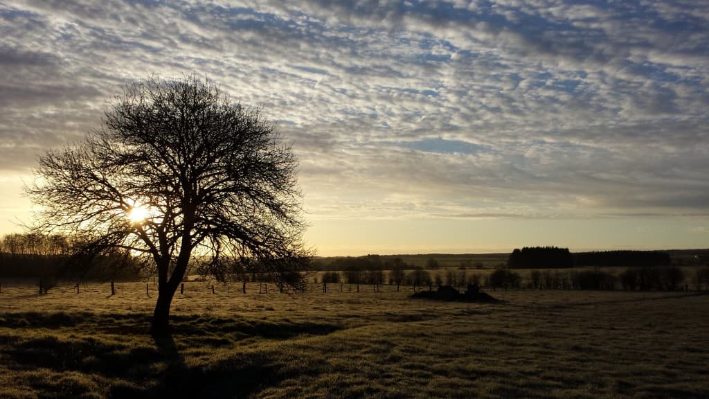 Joli ciel et gelée blanche