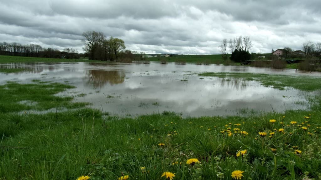 Prés inondés