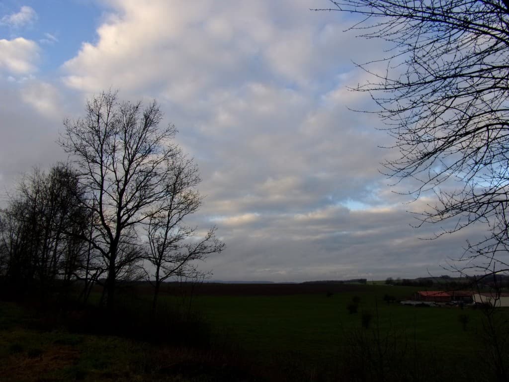 Un peu de bleu en fin de journée