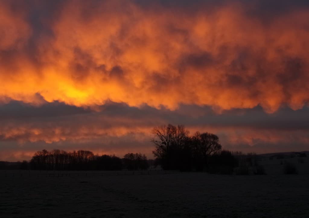 Vue rapprochée de ce matin rougeoyant