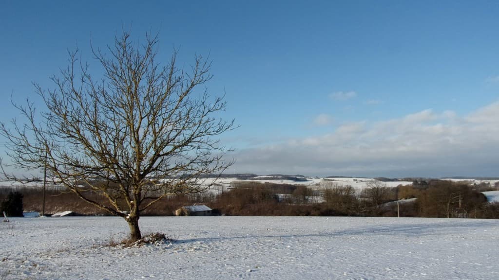 Bien froid ce matin avec -6°