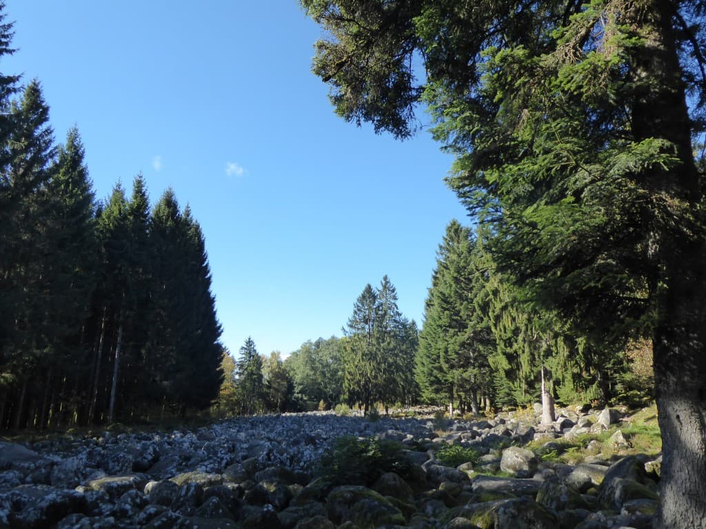Champ de Roches