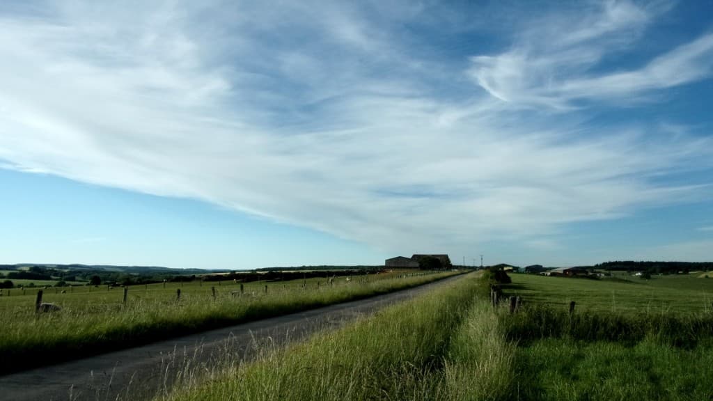 Cirrus du soir