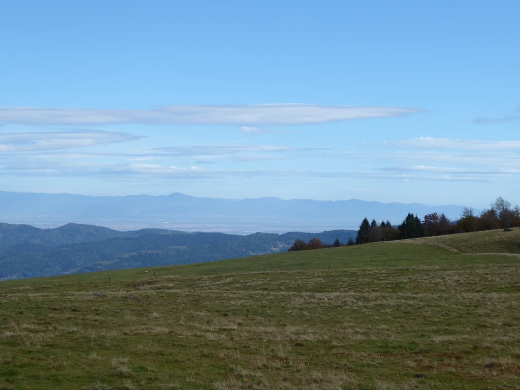 La Foret Noire et  l'Alsace
