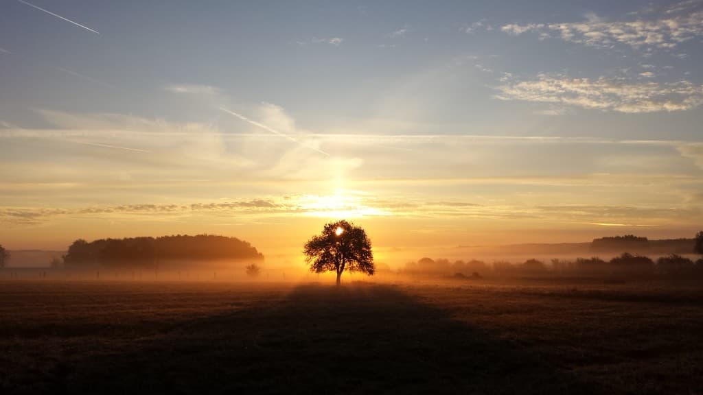 Lever brumeux
