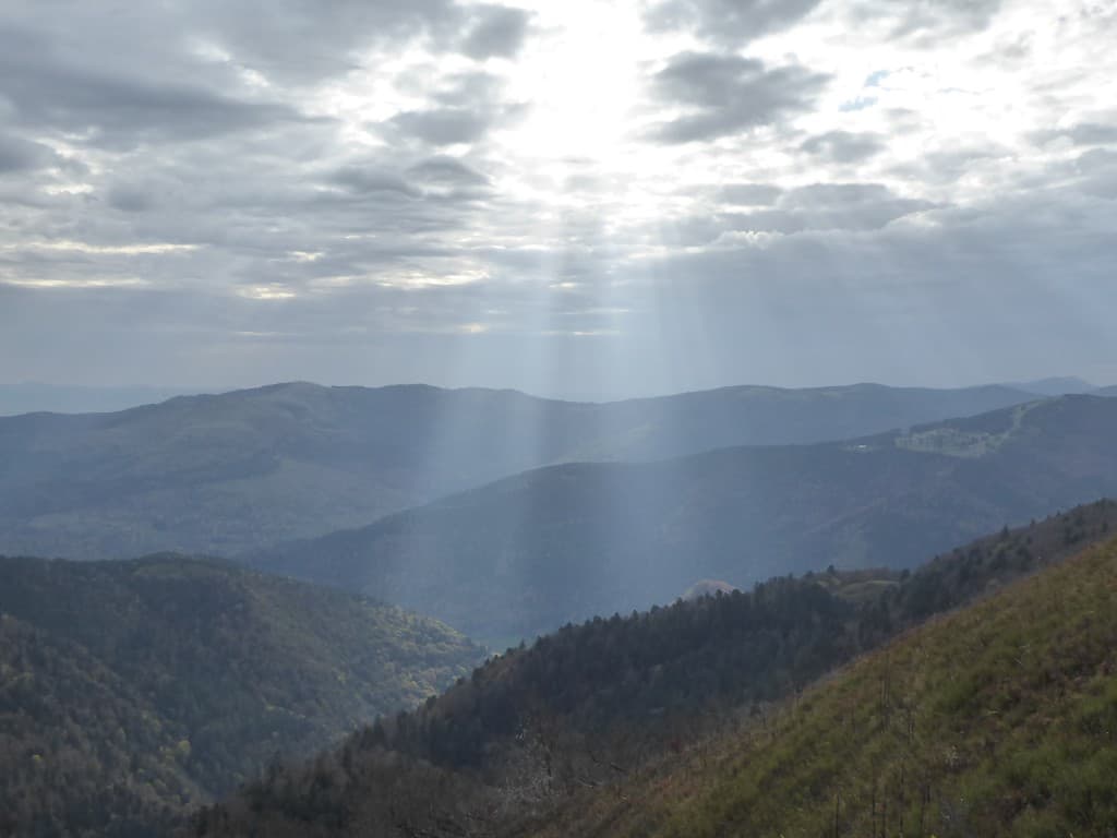 Rayons