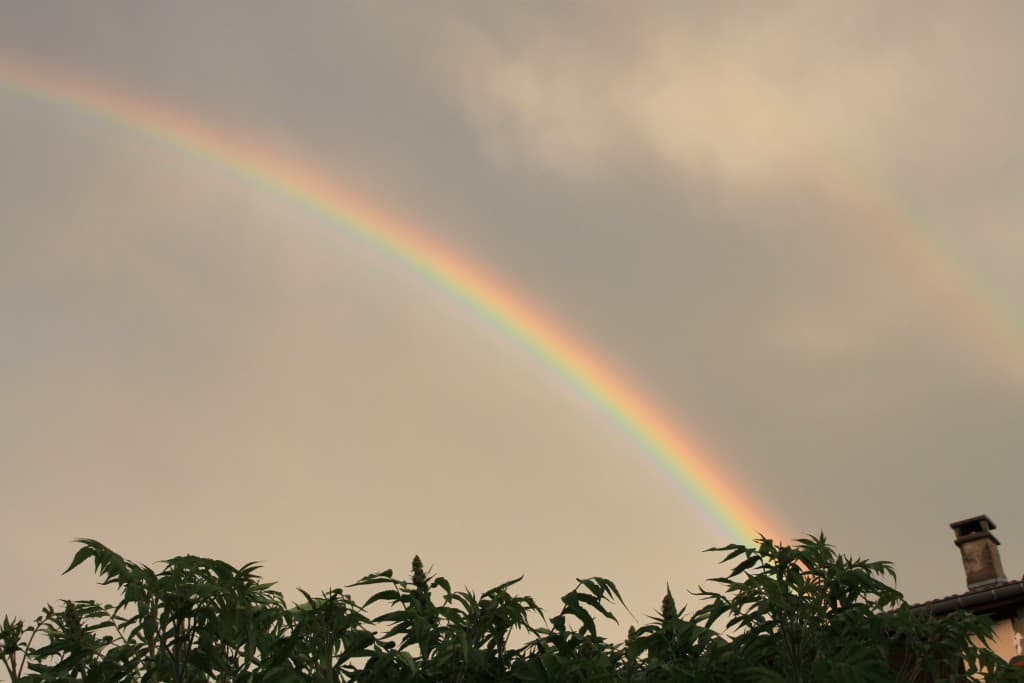 Splendide arc en ciel 