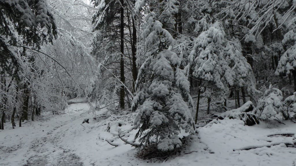 5 à 10cm de neige