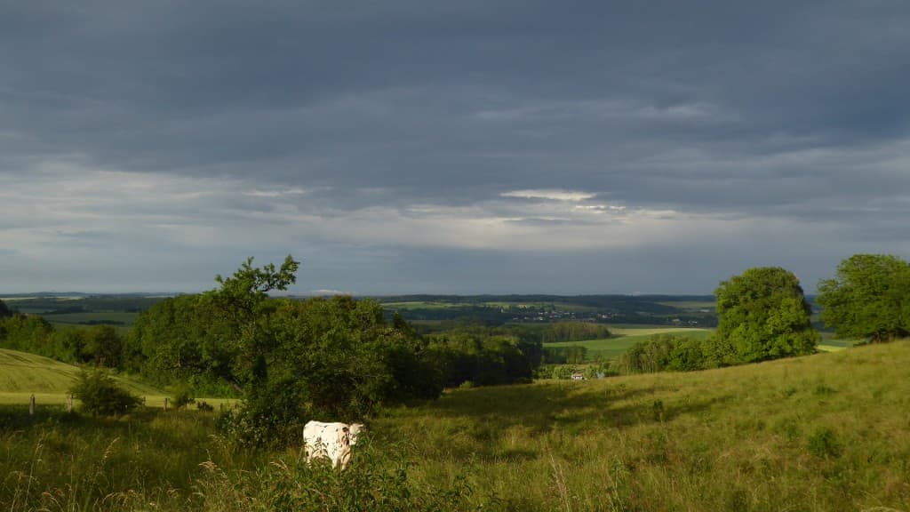 Après la pluie