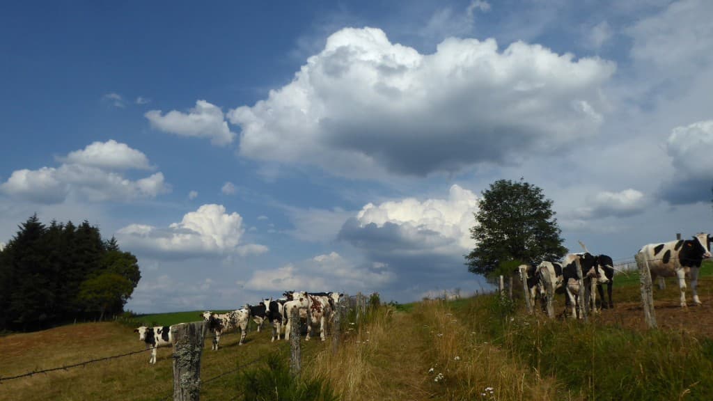 le ciel en fête