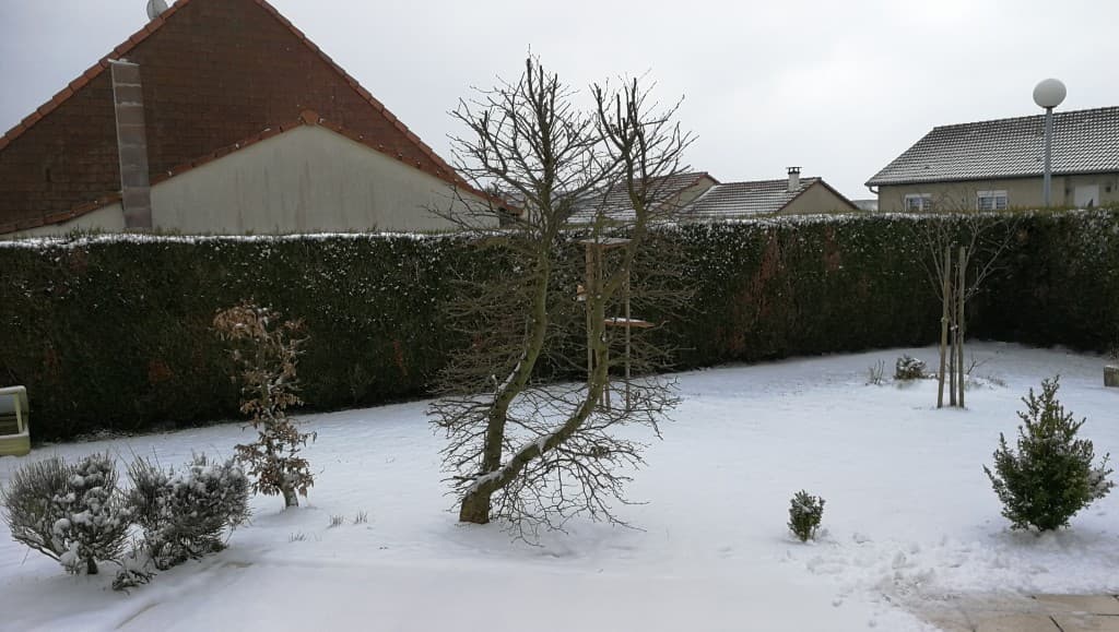 neige tardive à Solgne - 57420