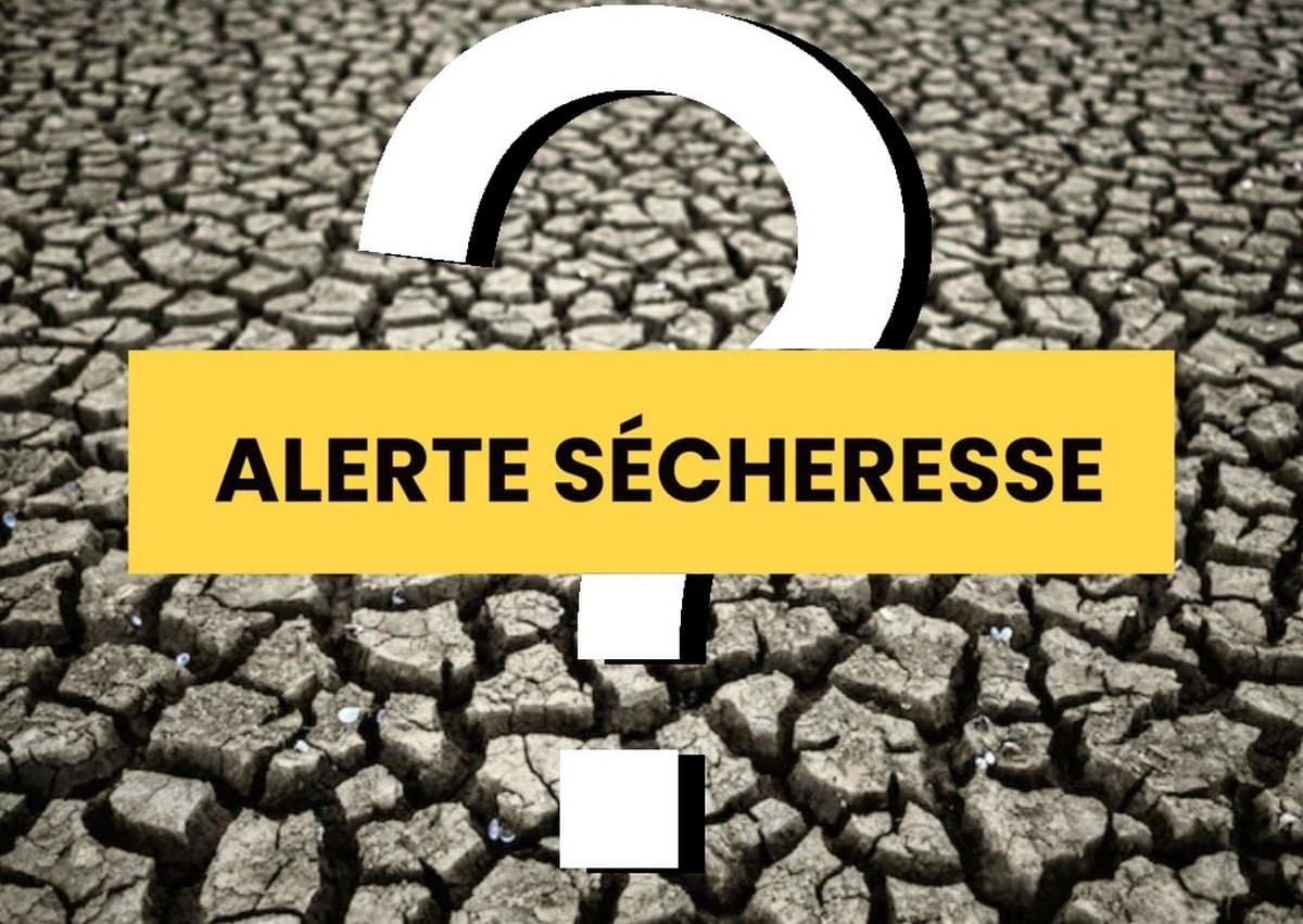 Où en est la sécheresse en France en cette seconde quinzaine d'août 2025 ?