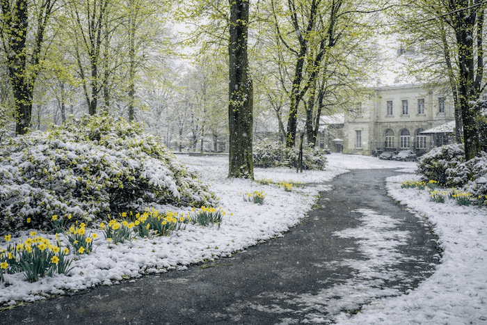 Refroidissement fin mars : froid et neige en vue ?