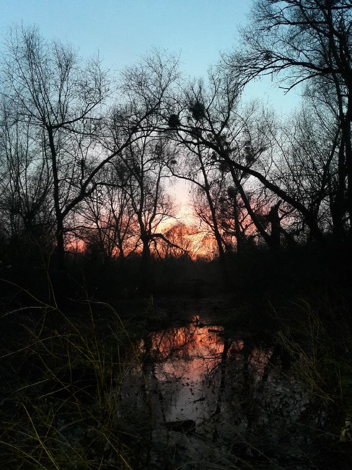 Un ciel bien dégagé ...