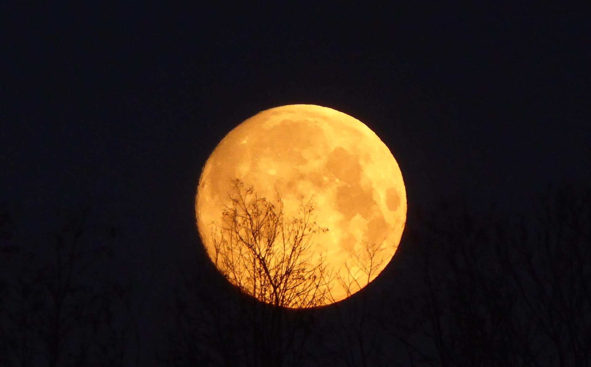 Jolie lune orangée