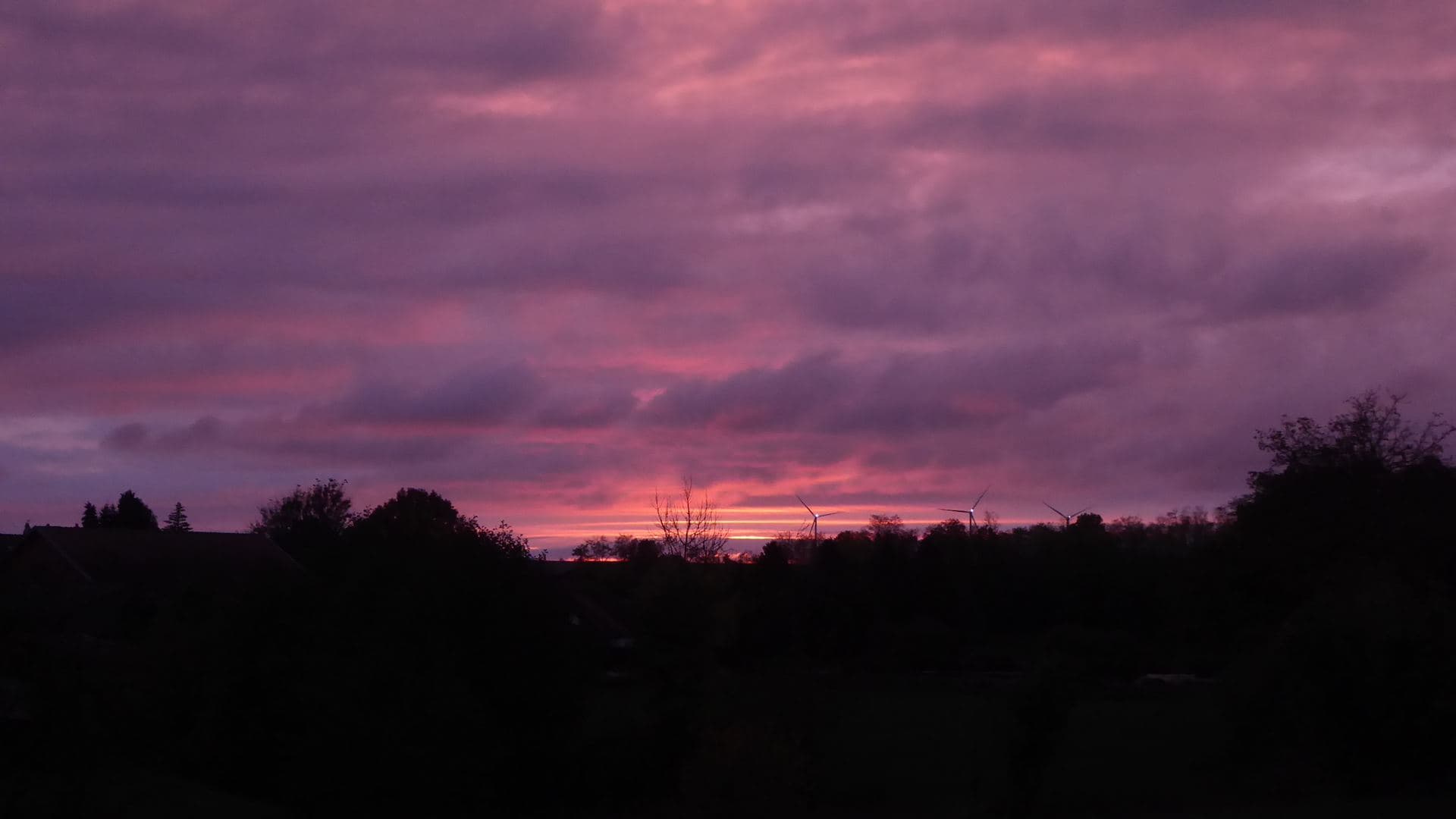 Coloration du soir