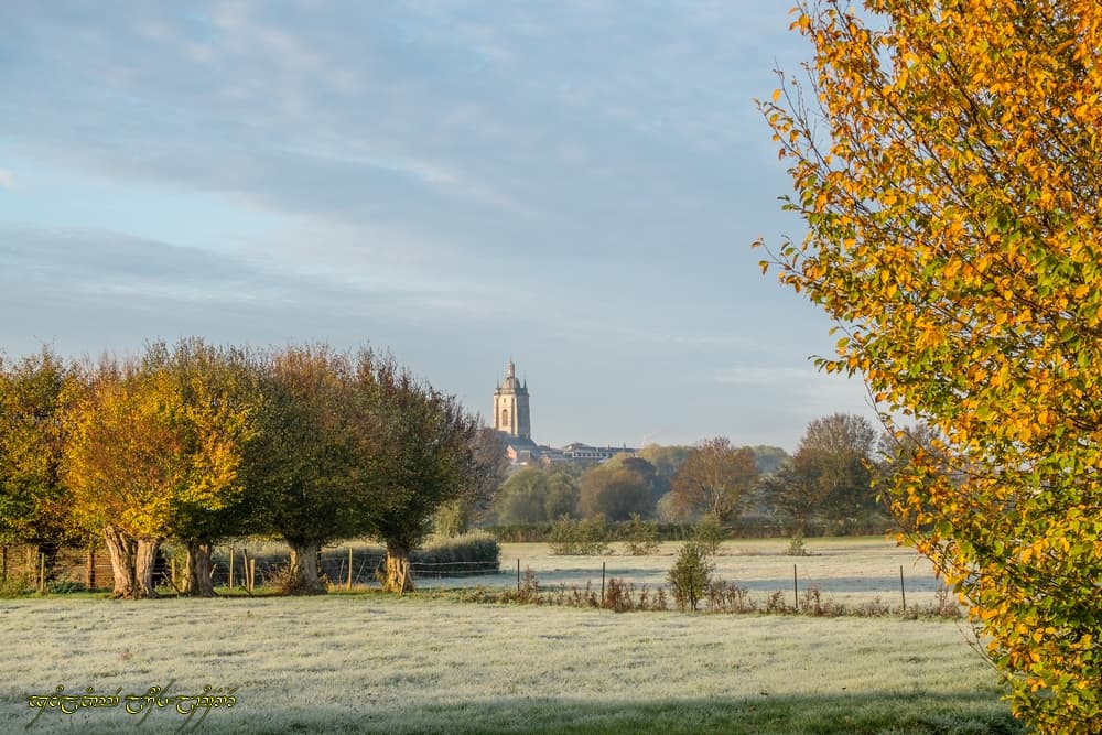 Coin d'automne