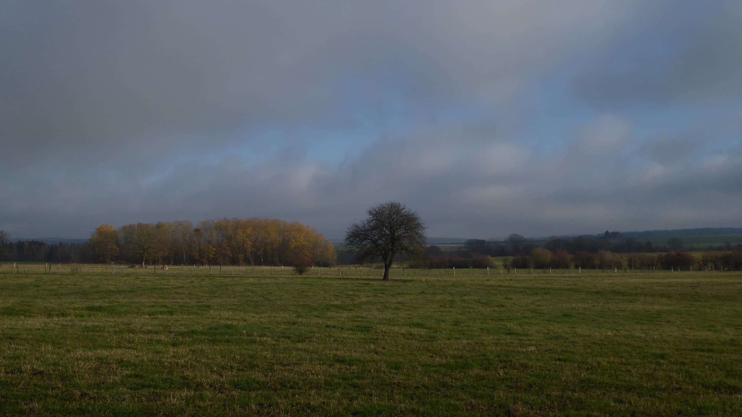 Bref rayon de soleil