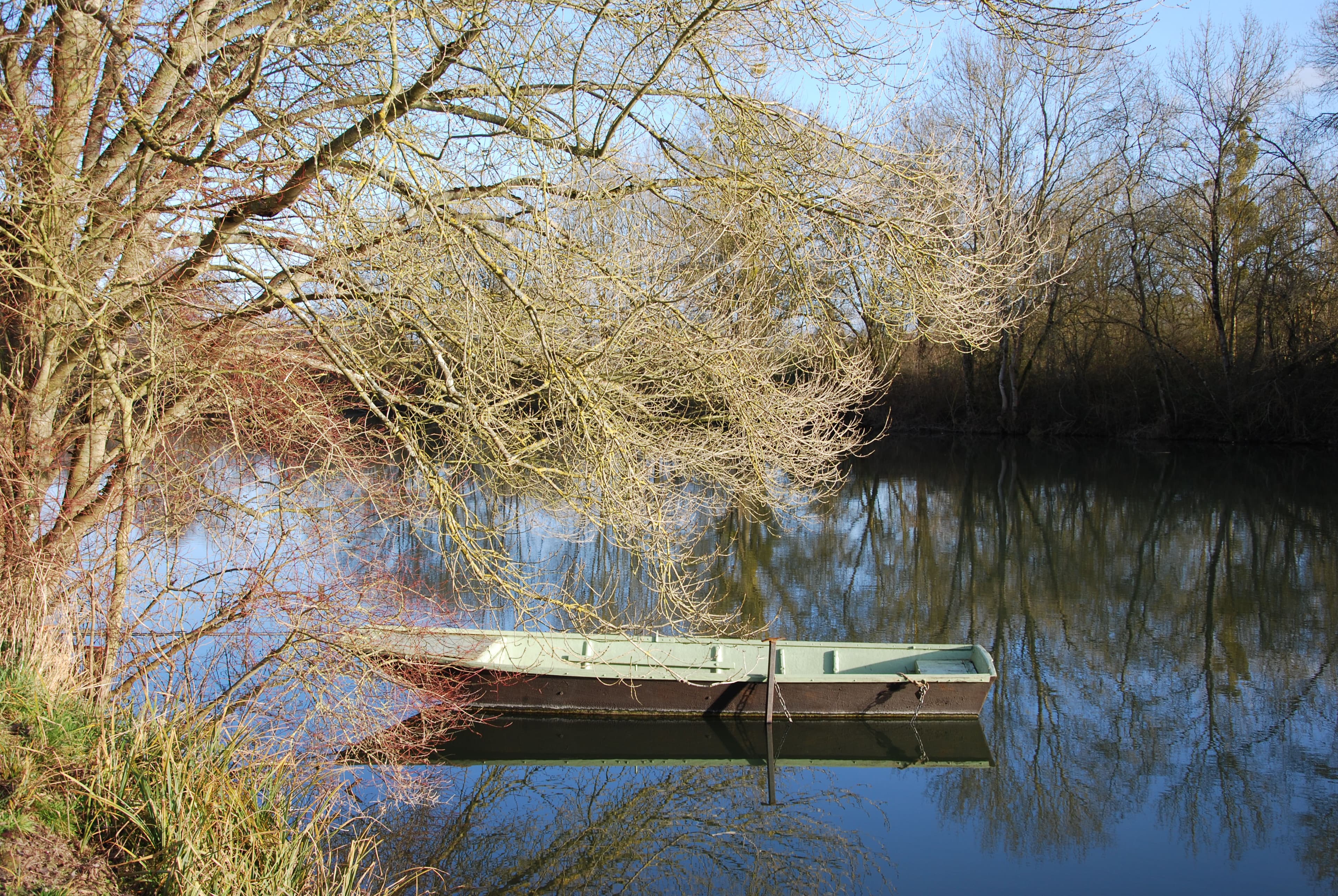 Bord du Loir en hiver