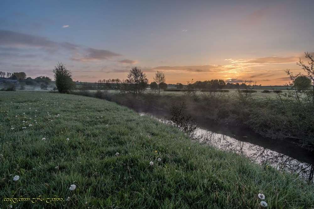 Les fleurs et la rivière