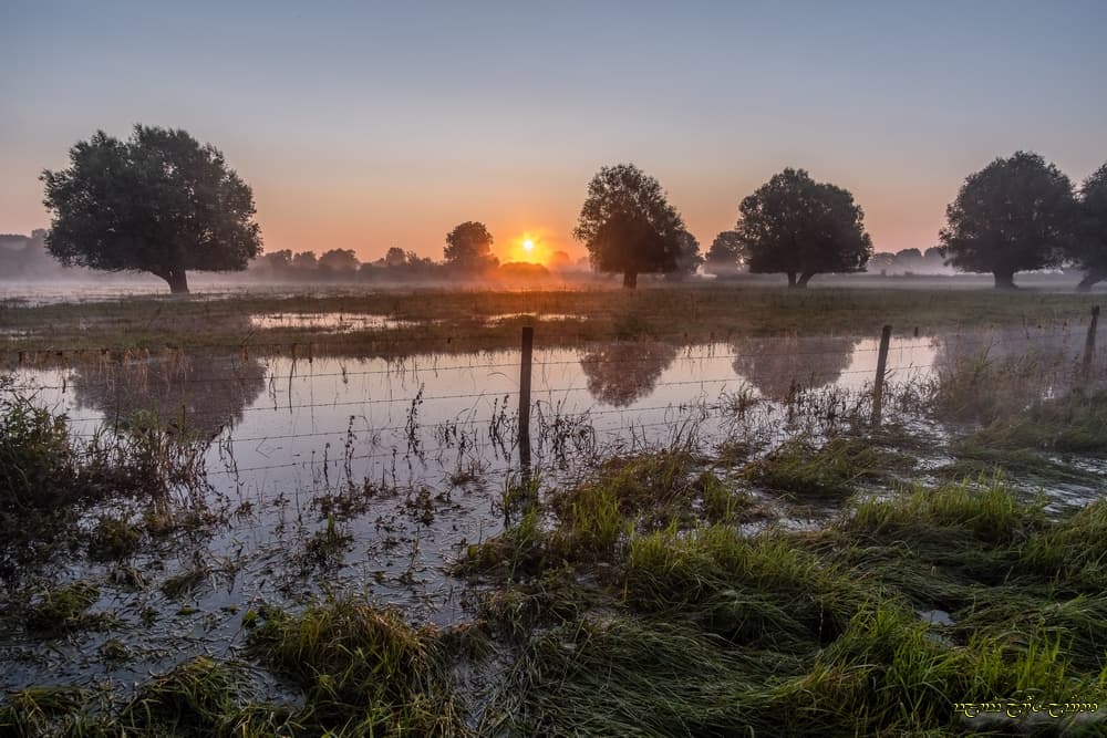 Brume et reliquats d'inondation