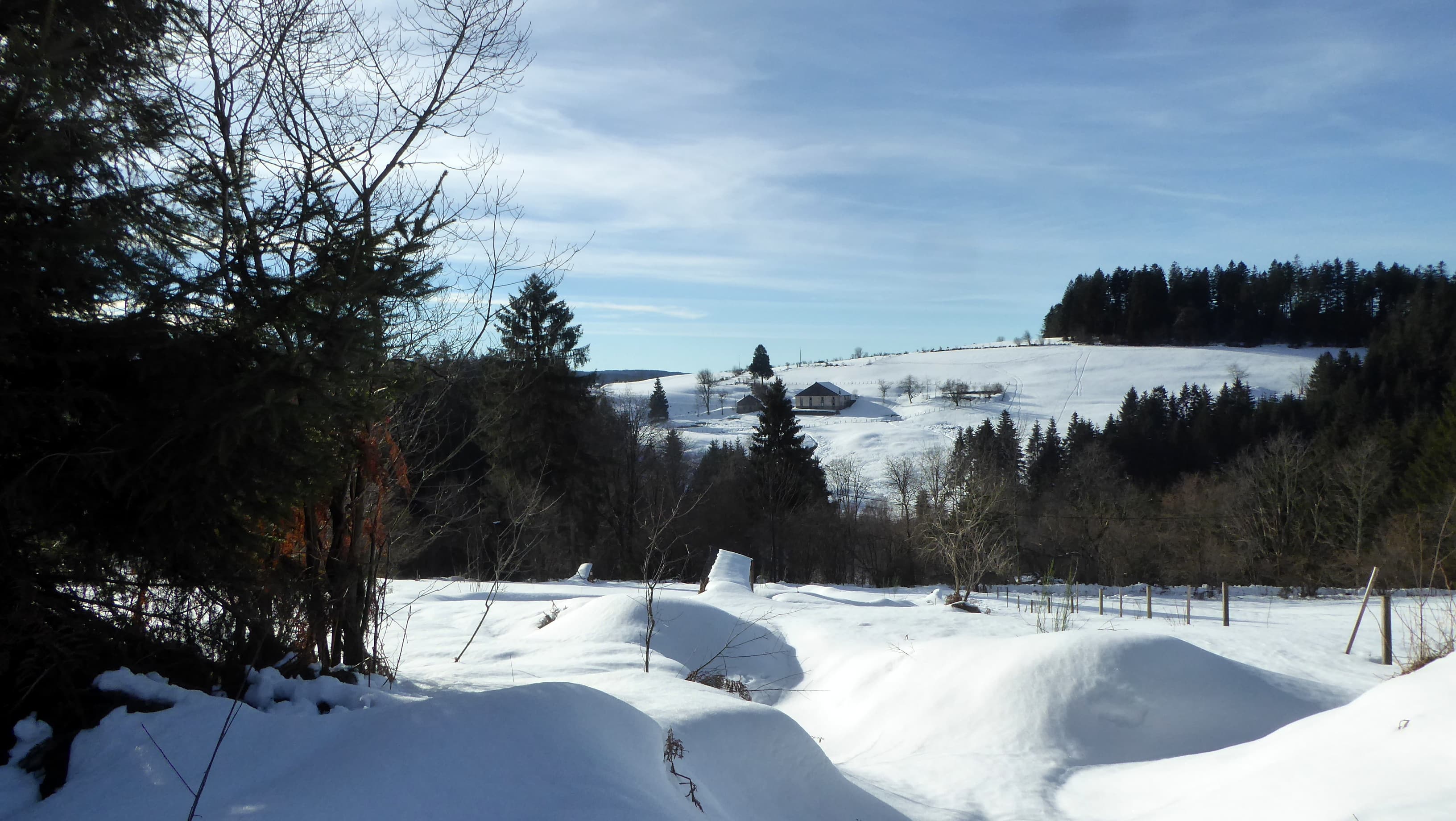 Neige au Haut du Tôt