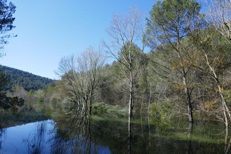 Fond du barrage de Bimont